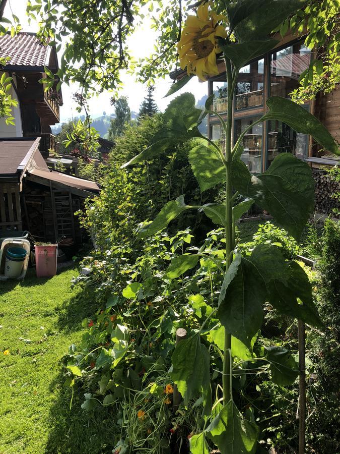 Gaestehaus Lackner Oberau Kültér fotó